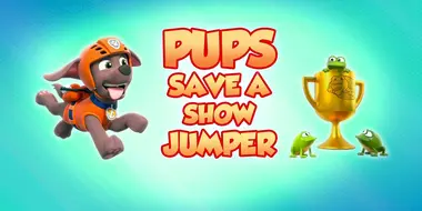 Pups Save a Show Jumper