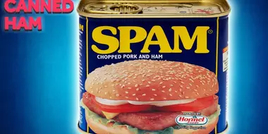 How Has SPAM Stayed So Popular?