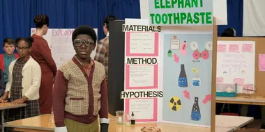 Science Fair