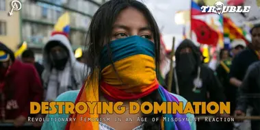 Destroying Domination: Revolutionary Feminism in an Age of Misogynist Reaction