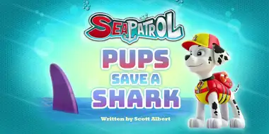 Sea Patrol: Pups Save a Shark