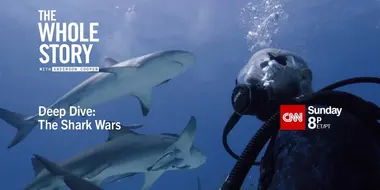 Deep Dive: The Shark Wars