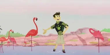 Mystery of the Flamingo's Pink
