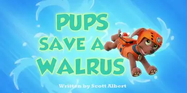 Pups Save a Walrus