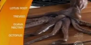 When Octopuses Attack