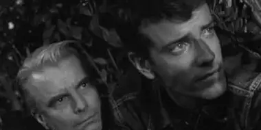 The Children of Spider County