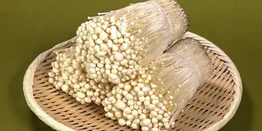 ENOKI