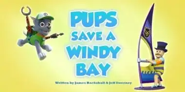 Pups Save a Windy Bay