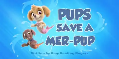 Pups Save a Mer-Pup