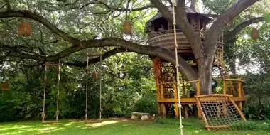 Treehouse Masters International: Brazil