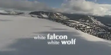 White Falcon, White Wolf