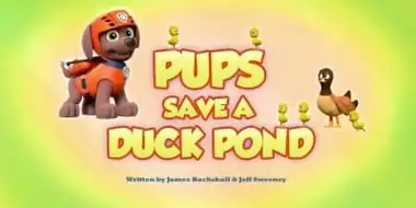 Pups Save a Duck Pond