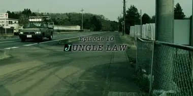 JUNGLE LAW