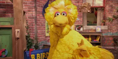 Big Bird's Happy To Be Me Club