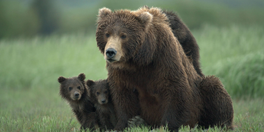 Katmai