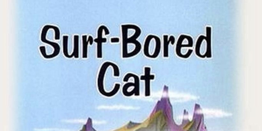 Surf-Bored Cat