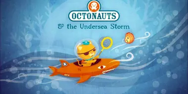 The Undersea Storm