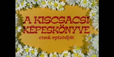 A kiscsacsi képeskönyve