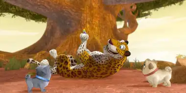 Speedy As A Cheetah