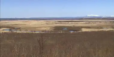 Kushiro Wetland