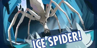 Ice Spider