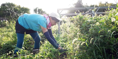 Eco-friendly Farming in Fukushima