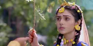 Radha's Concern for Krishna