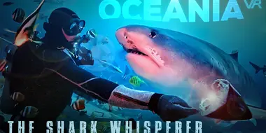 The Shark Whisperer