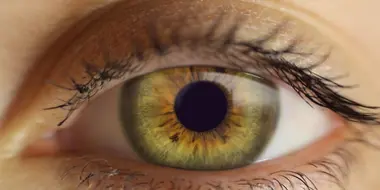 Eye