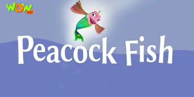 Peacock Fish