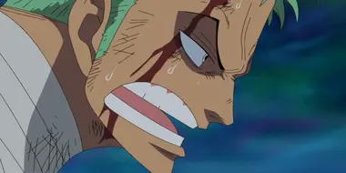 Encounter! The Great Swordsman Mihawk! Zoro's Self-Willed Deadly Struggle!