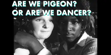 Part Six - Are We Pigeon? Or Are We Dancer?