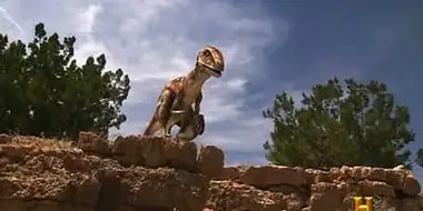 Raptor's Last Stand