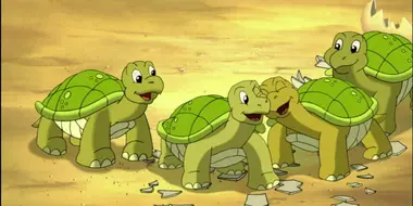 The Little Tortoises