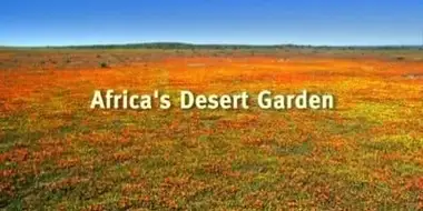 Africa's Desert Garden