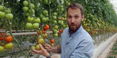 Feeding Australia: Foods of Tomorrow