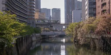 The Ikegami Line: Through the Heart of Tokyo