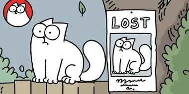 Missing Cat, Part 3: Lost