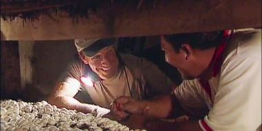 Mushroom Farmer