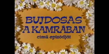 Bujdosás a Kamrában