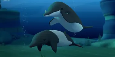 Whales of Mystery