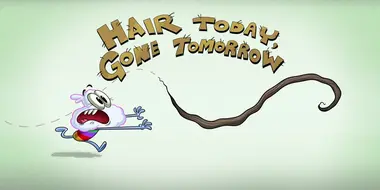 Hair Today, Gone Tomorrow