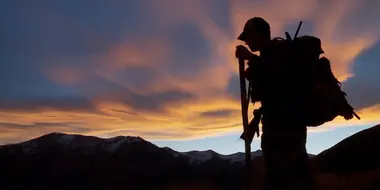 Strange Hunt in a Strange Land: New Zealand Red Stag