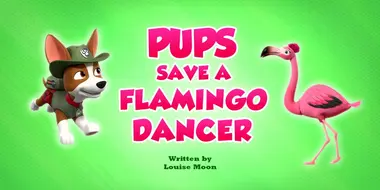Pups Save a Flamingo Dancer