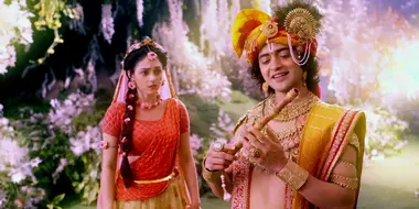 Krishna's Story of Love