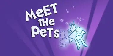Meet the Pets