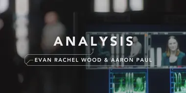 Analysis: Rachel Wood & Aaron Paul