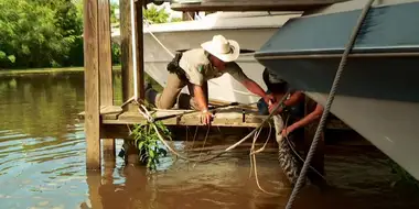 Gator vs. Game Warden