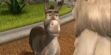 Donkey