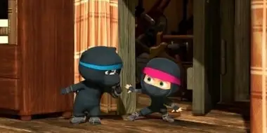 Home-Grown Ninjas